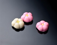 【冷凍】生細工麩　紅白梅